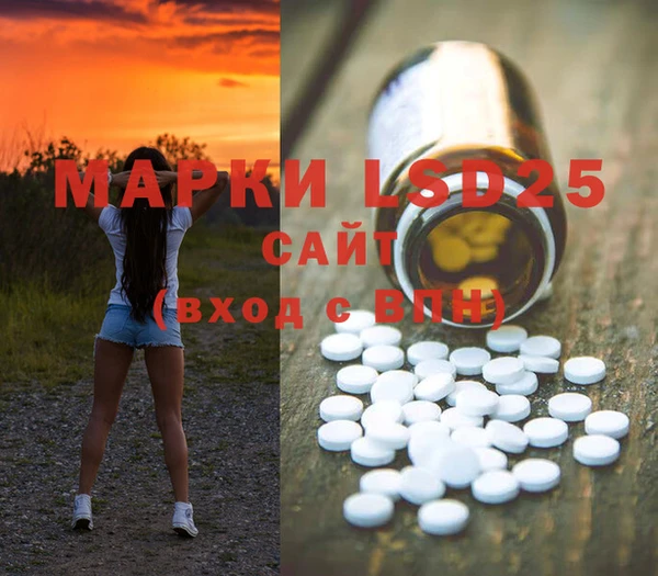 Альфа ПВП Мурманск