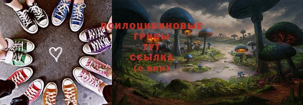 Альфа ПВП Мурманск
