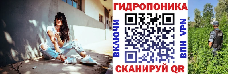 Купить закладки  Пустошка  Бошки Шишки план 